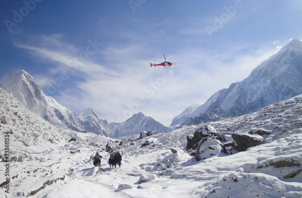Fototapeta rescue helicopter and yaks in Everest Base Camp