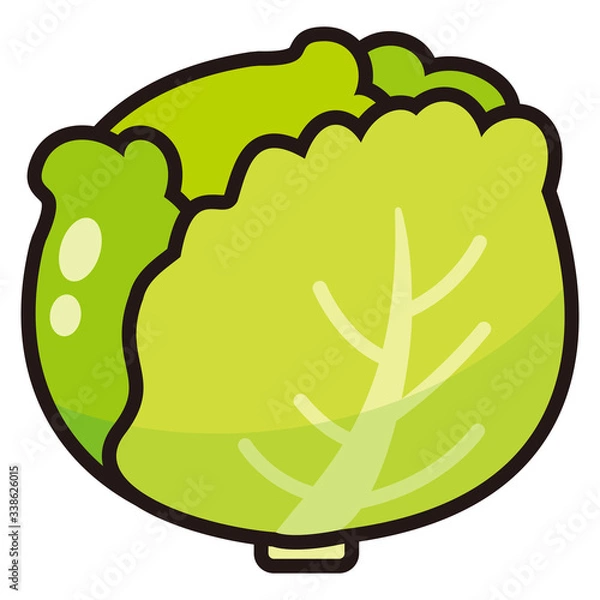 Obraz レタスのアイコン -vector icon lettuce