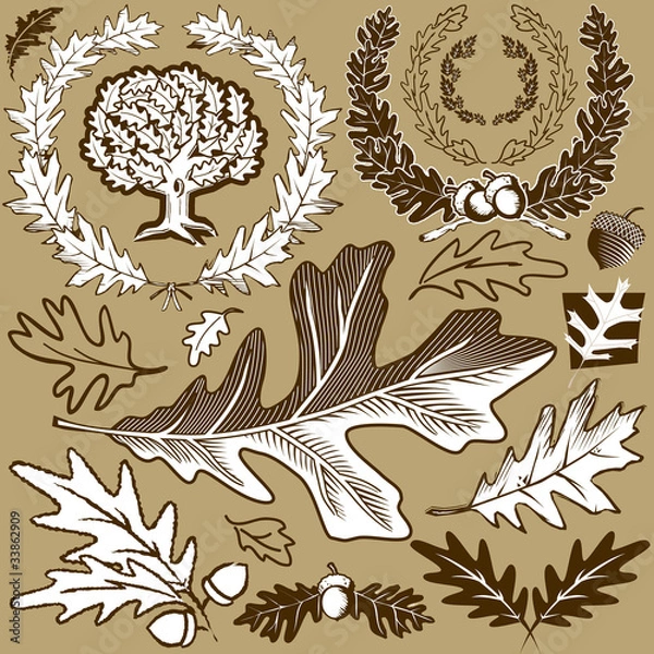Obraz Oak Leaf Collection