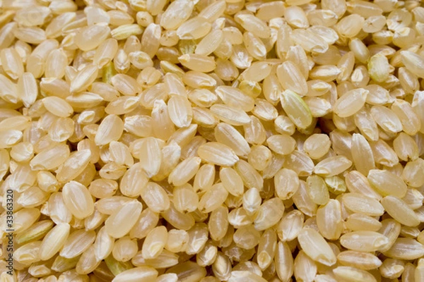 Obraz Brown　rice