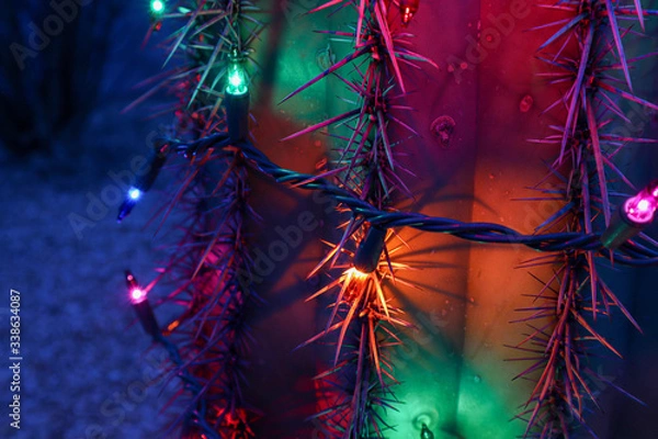 Obraz Christmas Lights on Saguaro Cactus at Night