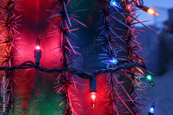 Obraz Colored Christmas Lights on Cactus at Night