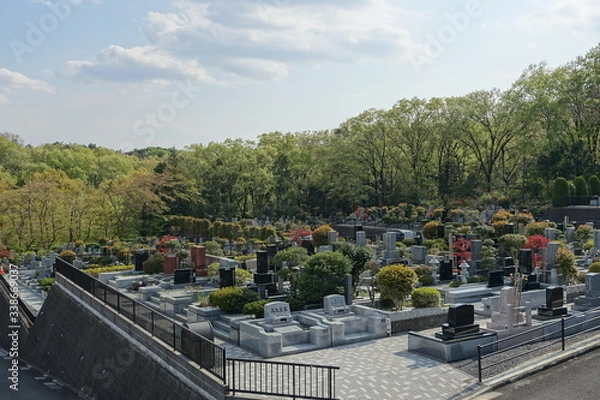 Obraz 新緑の墓地（埼玉）　cemetery in spring, JAPAN