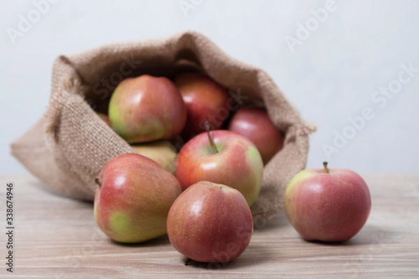 Fototapeta Cloth bag with apples. Burlap sack with rustic apples.