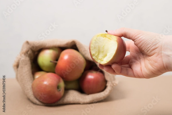 Fototapeta Apples in a fabric bag. Female hand holds an apple.