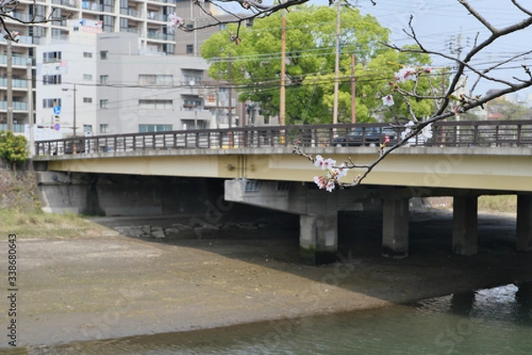 Fototapeta 早春を迎えた静かな甲突川の風景