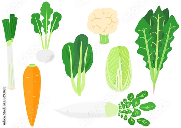Obraz 冬野菜のセット
