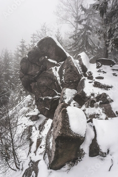 Obraz snow covered rocks in winter forest