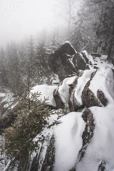 Obraz snow covered rocks in winter forest