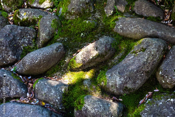 Obraz こもれびの中の石畳