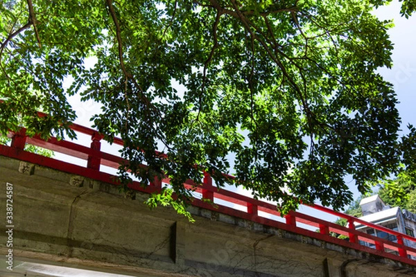 Fototapeta 〈箱根〉あじさい橋