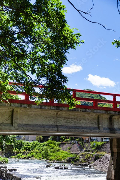 Obraz 〈箱根〉あじさい橋