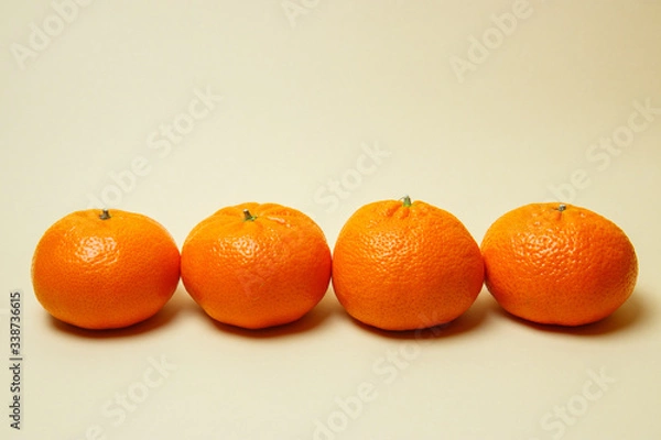 Obraz oranges on a white background
