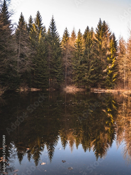 Obraz reflection of trees in the lake