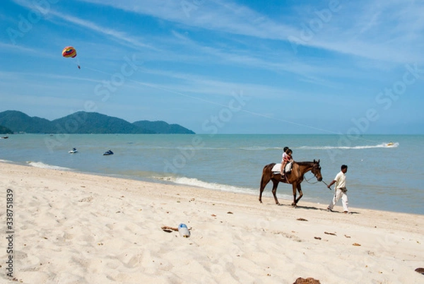 Obraz 馬のいる風景、ビーチ：マレーシア：パラセーリング