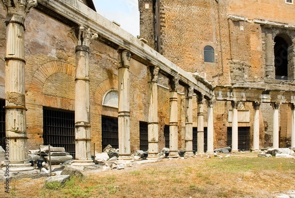 Fototapeta columns in the forum