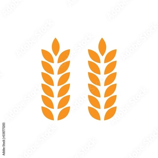 Obraz Agriculture wheat vector graphic design template isolated
