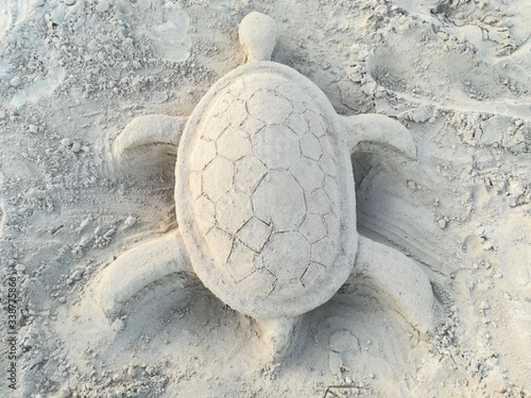 Obraz sandschildkröte