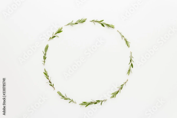 Fototapeta Minimal style photography. Branch circle , natural creative composition top view background with copy space for your text. Flat lay.