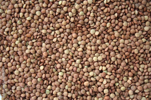 Fototapeta Brown lentils. Background texture of grains of brown lentils. Top view of lentil grains. Close-up, vertical, top view. Concept of healthy eating and agriculture.