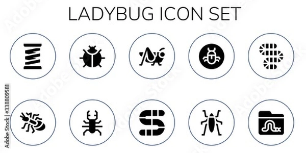 Obraz ladybug icon set