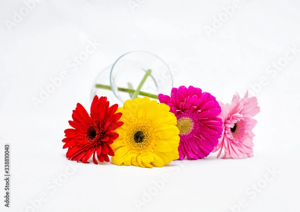 Obraz Gerberas and a vase