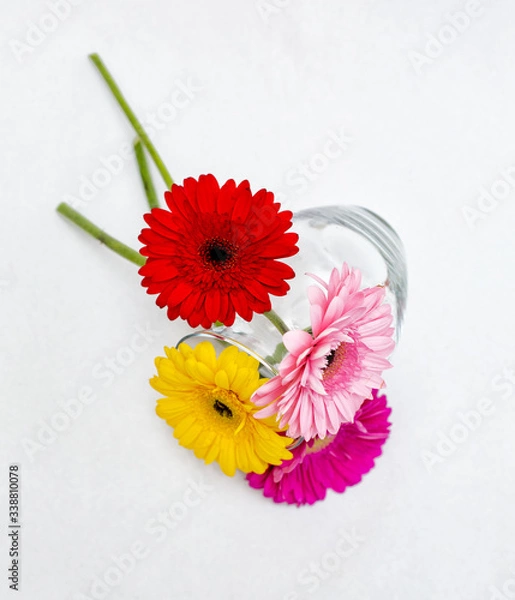 Obraz Gerberas and a vase