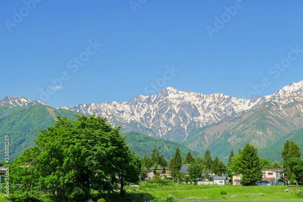 Obraz 初夏の山里