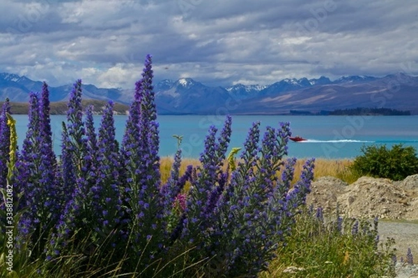 Obraz Nouvelle Zélande