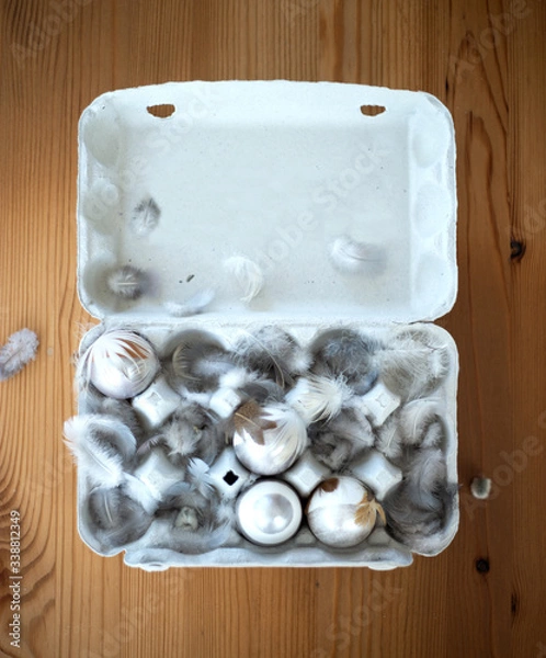 Fototapeta Eierkarton