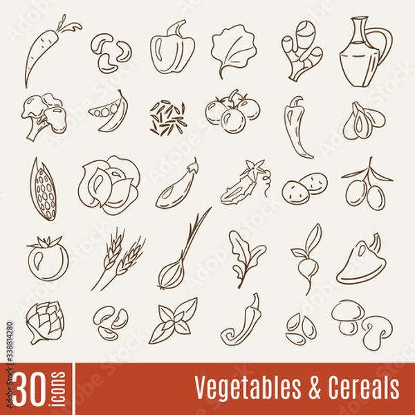 Fototapeta Flat icons in Vegetables and cereals infographic set.