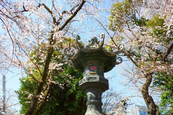 Fototapeta 日本, 木, 庭, 日本人, 建築, カストレ, 空, あばたのある, 古い, ランタン, 自然, ビル, 公園, 寺, とぶ, 家, 風景, 緑, 古代の, 木, サクランボ, 青, アジア, 全盛期, 鳥