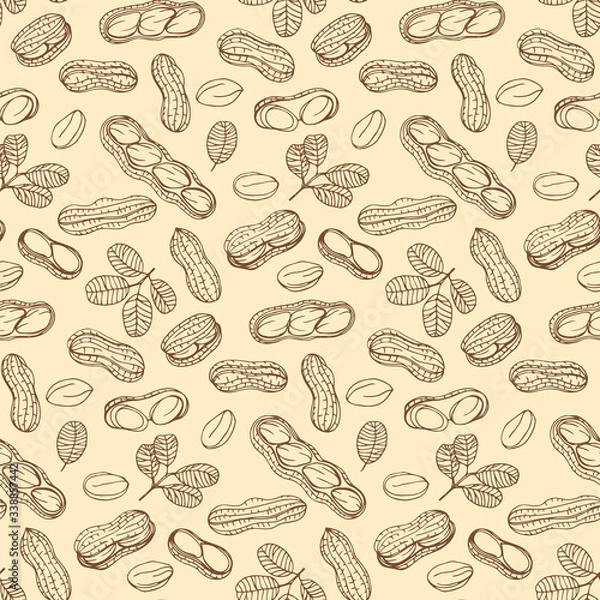 Fototapeta Graphics pattern Peanut. Nuts hand drawn, doodle style