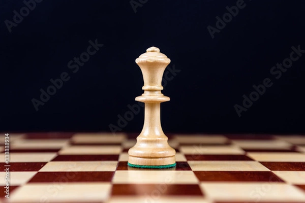 Obraz chess queen