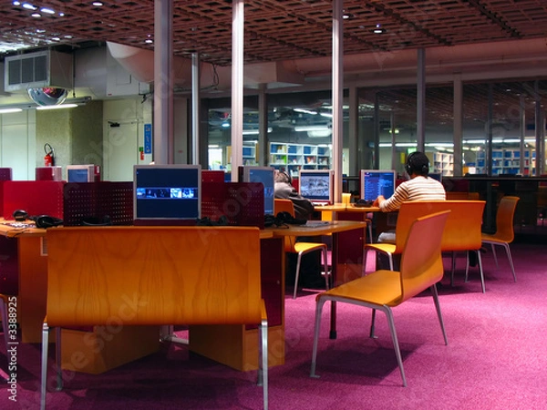 Obraz bibliothèque