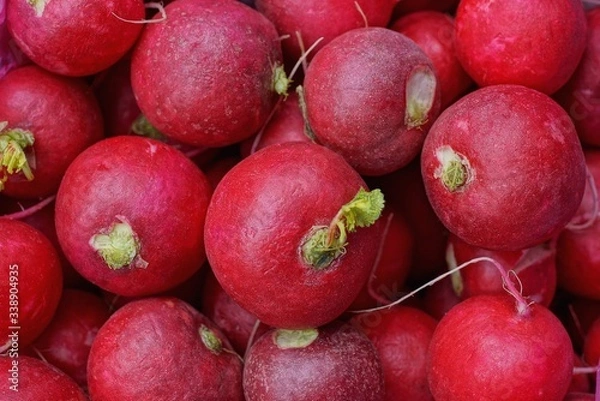 Fototapeta natural plant texture of red round radish vegetables in a heap