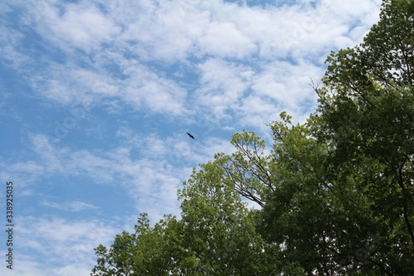 Obraz Shades of Spring