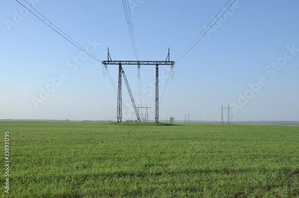 Obraz strawberry berries