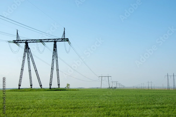 Obraz strawberry berries