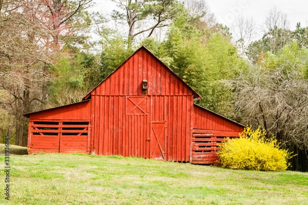 Obraz old red barn in the field