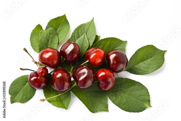 Obraz черешня