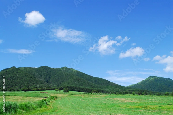 Fototapeta 岡山県蒜山高原の夏