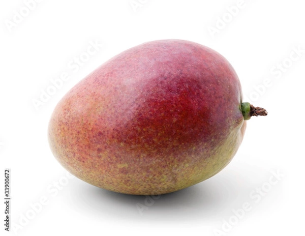 Obraz Mango fruit