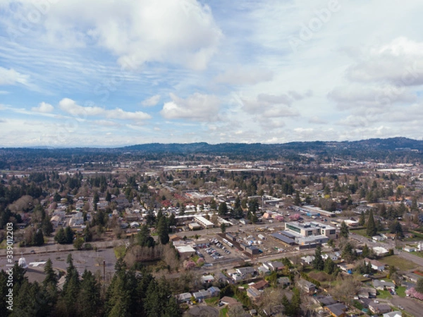 Fototapeta Suburb from a height, USA, filmed from a drone. Trees and houses