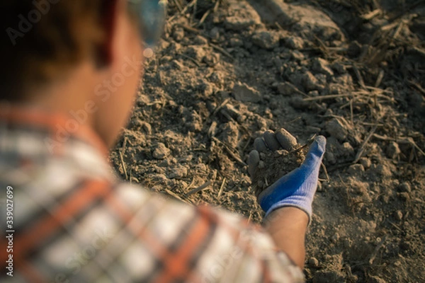 Obraz Gardeners check soil conditions for farming