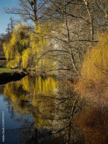 Obraz Spring Colour Reflection - Frühlingsfarben im Spiegel