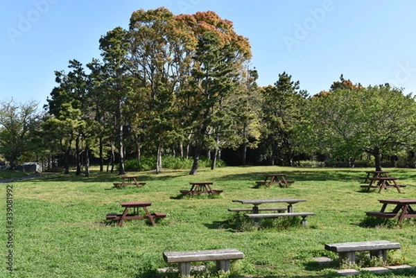 Obraz Parque sin gente