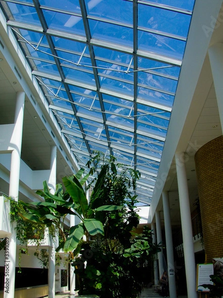 Obraz dach atrium