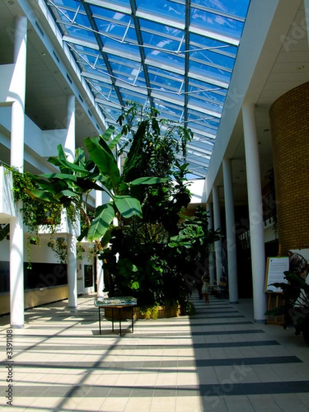 Obraz atrium