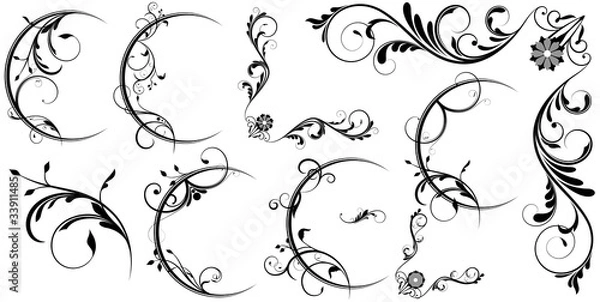 Fototapeta Swirl Design Flourish Elements Collection